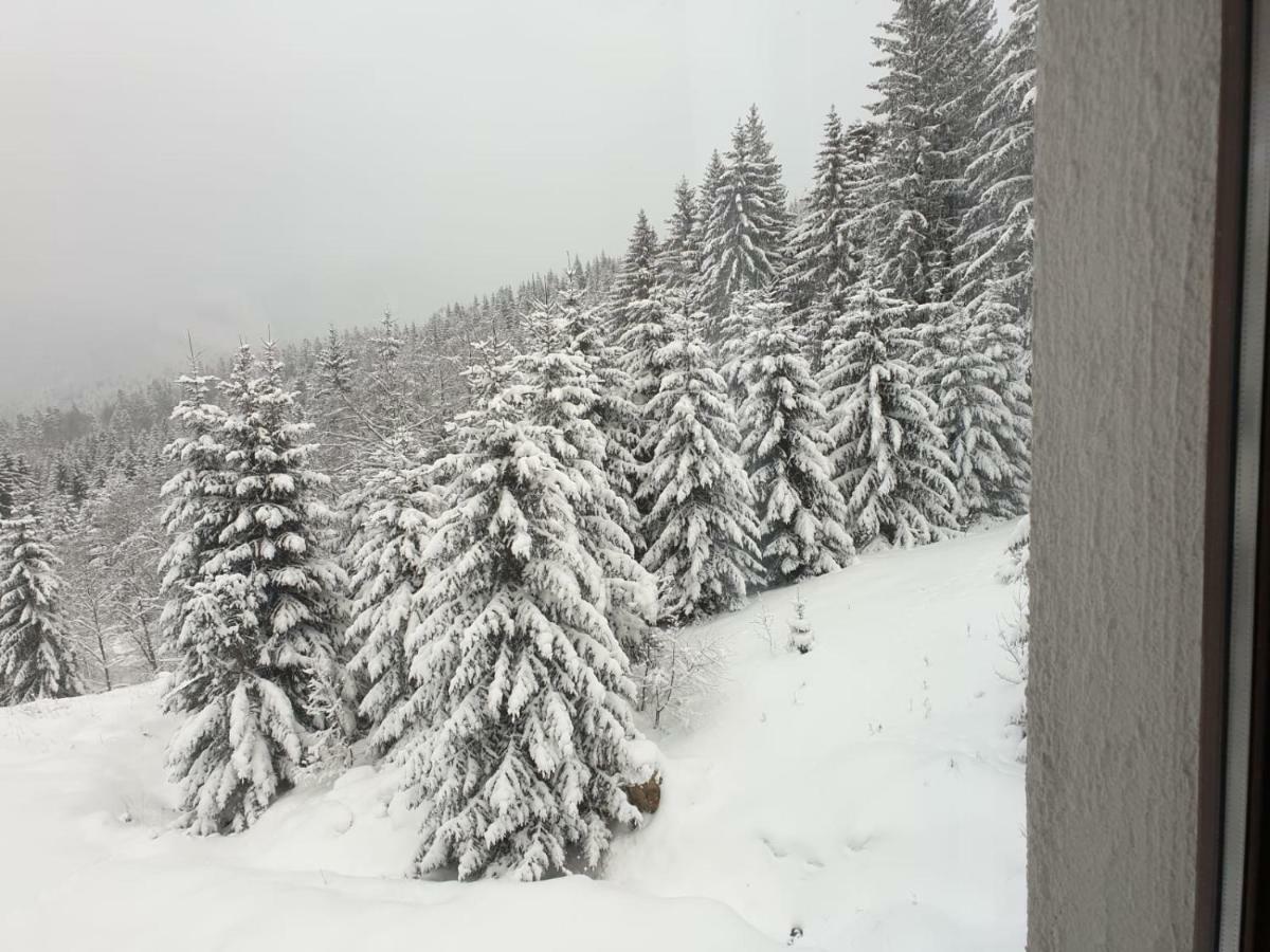 Nature House 프레데알 외부 사진